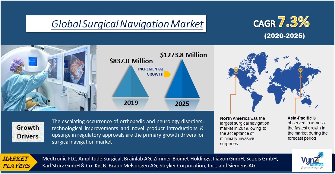 Surgical Navigation Market Industry Analysis Report 2025
